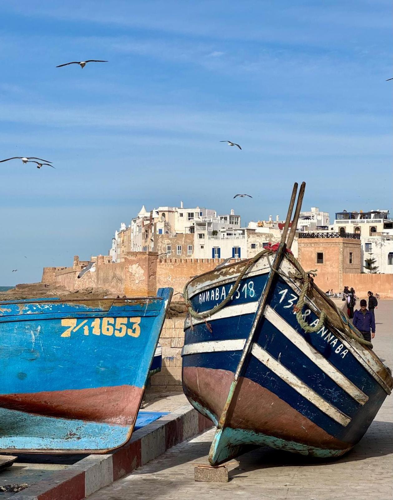 Le Clos De La Roussiere Essaouira Exterior photo
